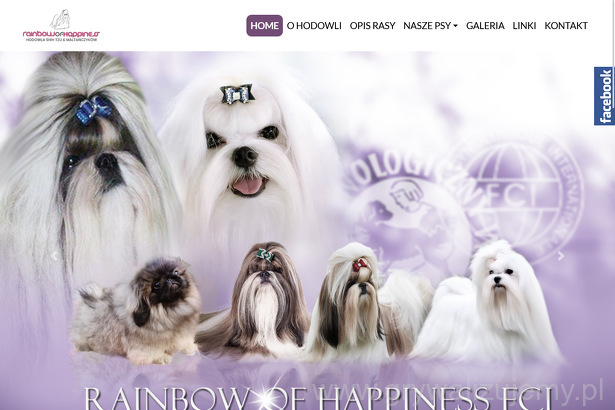 rainbow-of-happiness